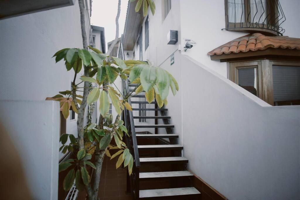Casa Macfarland Boutique Lägenhet Ensenada Exteriör bild